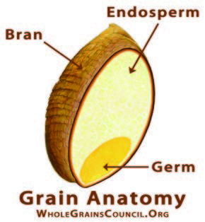 Whole Grain