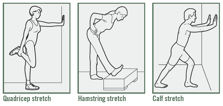 Quadricep, hamstring, calf stretch